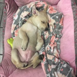 Meet your Posher, Al